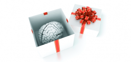 CHeBA Blog: Donating Your Brain to Research