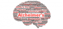 CHeBA Blog: Roth Charitable Foundation supports The Dementia Momentum®
