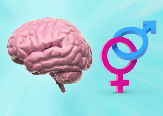 Sex Specific Risk Factor Management Strategies May Reduce Cerebral 
